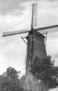 De vervallen molen rond 1952