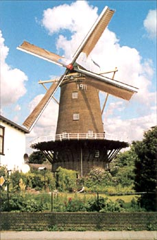 de Nieuwe Molen